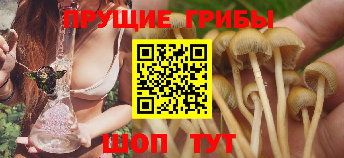 Нижневартовск  Псилоцибиновые грибы ЛСД  Вход с VPN 