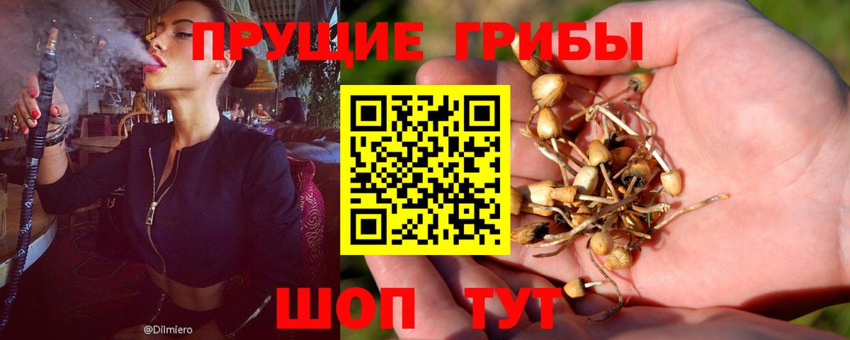 Псилоцибиновые грибы прущие грибы Нижневартовск